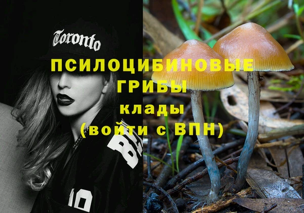 гидропоника Алексин