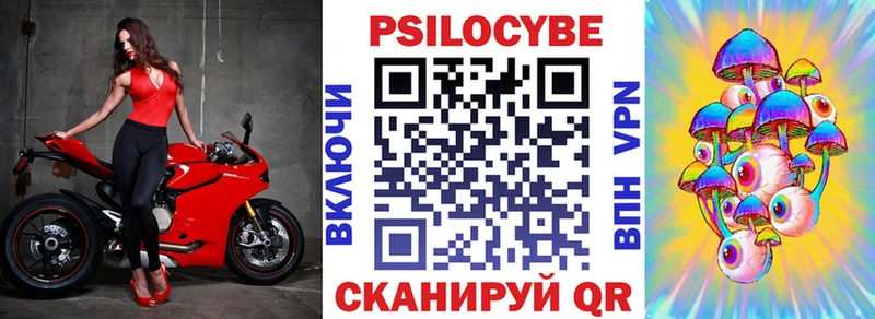 Псилоцибиновые грибы Cubensis  Новошахтинск 
